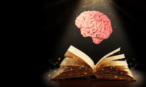 The Science Behind The Power of Storytelling - Natural High